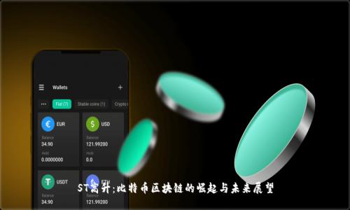 ST高升:比特币区块链的崛起与未来展望