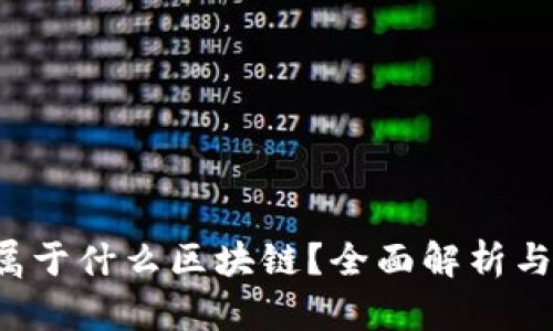 kishu币属于什么区块链?全面解析与未来展望
