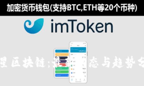 明星区块链:最新动态与趋势分析