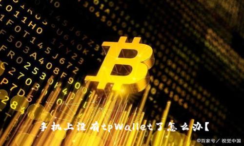 手机上没有tpWallet了怎么办?