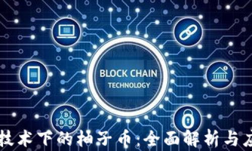 区块链技术下的柚子币:全面解析与应用前景