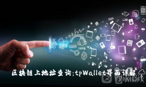 区块链上地址查询:tpWallet界面详解