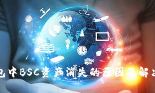 TP钱包中BSC资产消失的原因及解决方案