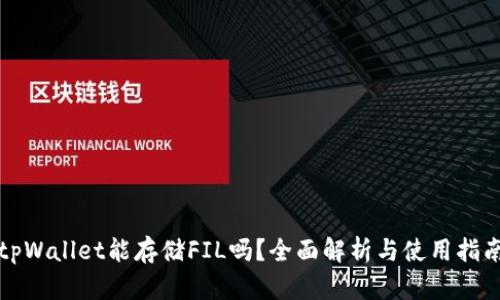 tpWallet能存储FIL吗?全面解析与使用指南