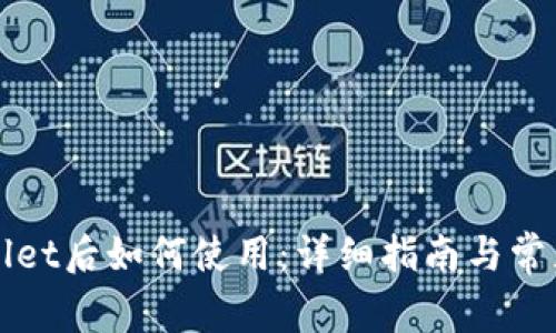 下载tpWallet后如何使用:详细指南与常见问题解答