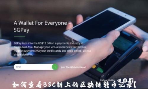
如何查看BSC链上的区块链转币记录？