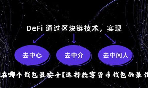 币存在哪个钱包最安全？选择数字货币钱包的最佳指南