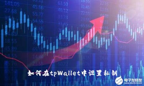 如何在tpWallet中设置私钥