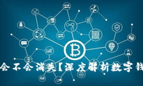 tpWallet里的资产会不会消失?深度解析数字钱包的安全性与风险
