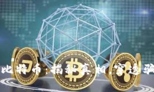 区块链与比特币:揭秘真相,穿透骗局的迷雾