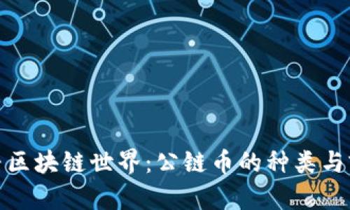 探寻区块链世界：公链币的种类与前景