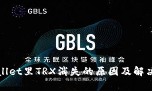 tpWallet里TRX消失的原因及解决办法