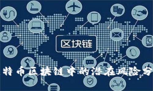 比特币区块链中的潜在风险分析