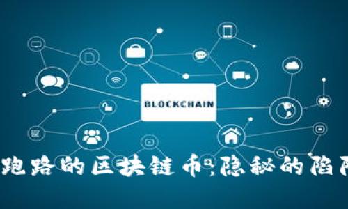 2020年跑路的区块链币:隐秘的陷阱与教训