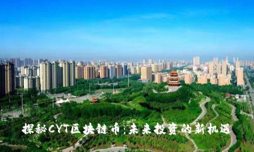 探秘CYT区块链币:未来投资的新机遇