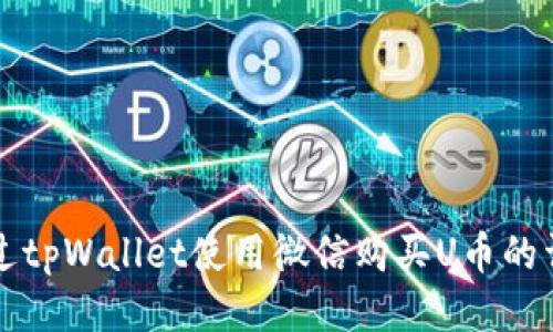 如何通过tpWallet使用微信购买U币的详细指南