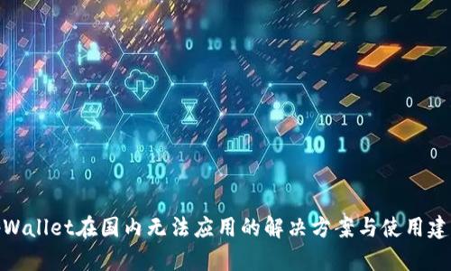 tpWallet在国内无法应用的解决方案与使用建议